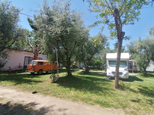 Parcelas en el medio