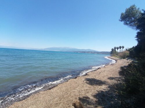 Playa