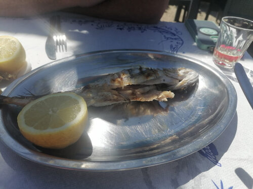 Bacalao