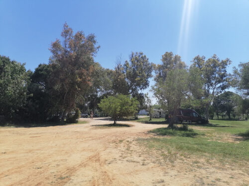 View of the area