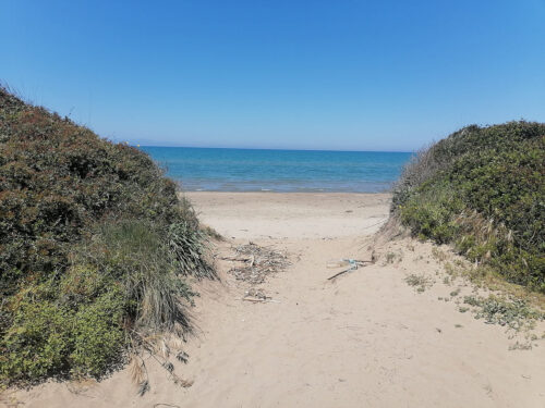 Path to the beach from the parking lot