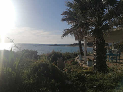 Vista desde la terraza