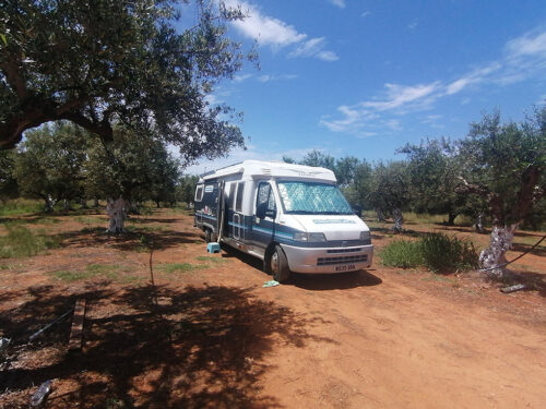 Nuestro sitio entre los olivos