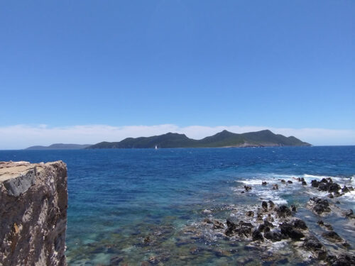 Vistas desde la torre
