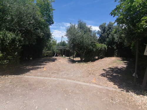 Vista de las parcelas