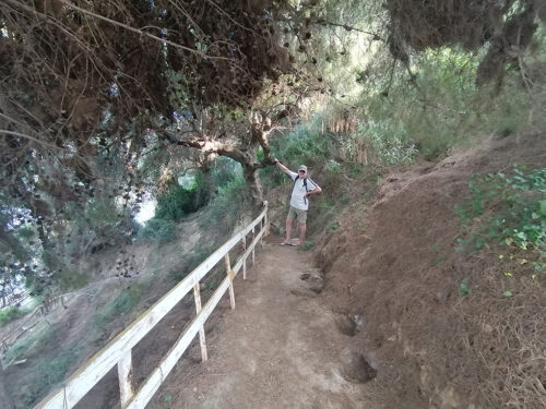 Bajando el camino a la playa