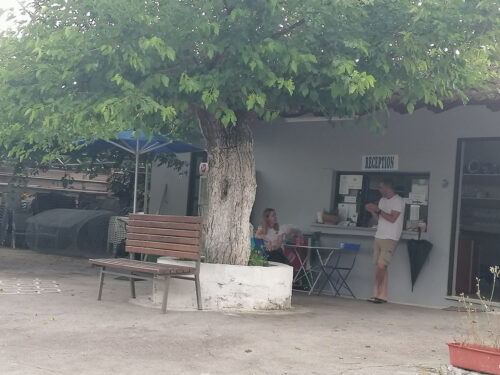 Recepción 