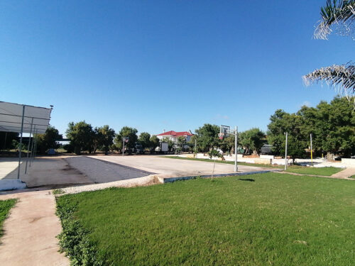 Pista de baloncesto