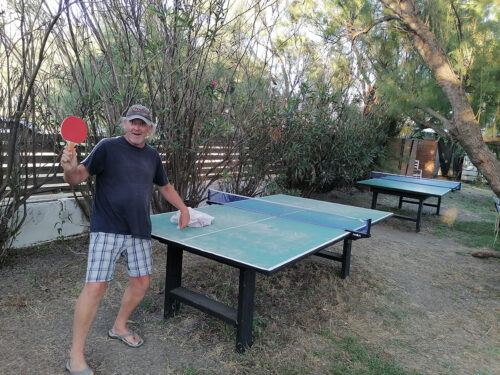 Ping-pong