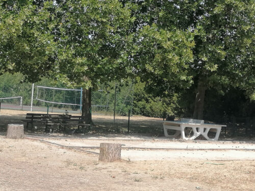 Ping-pong table and basketball court
