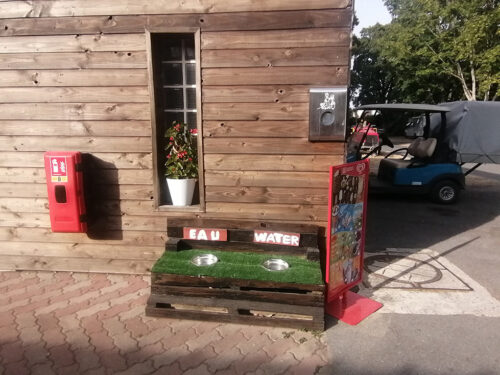 Dog area