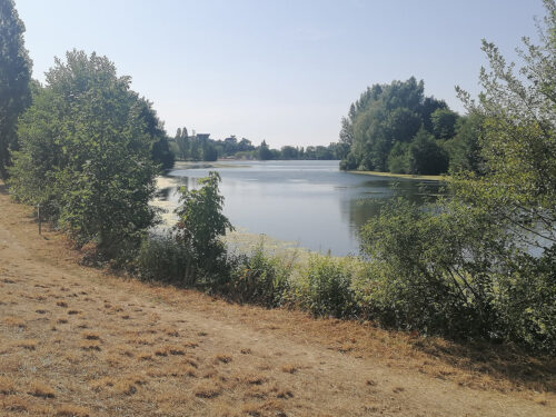 Walking along the lake