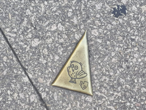 Owl arrows that we followed