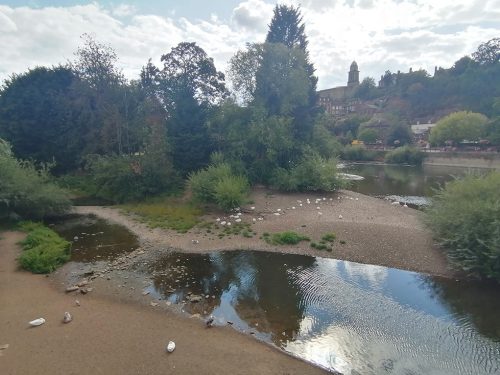 View from the bridge